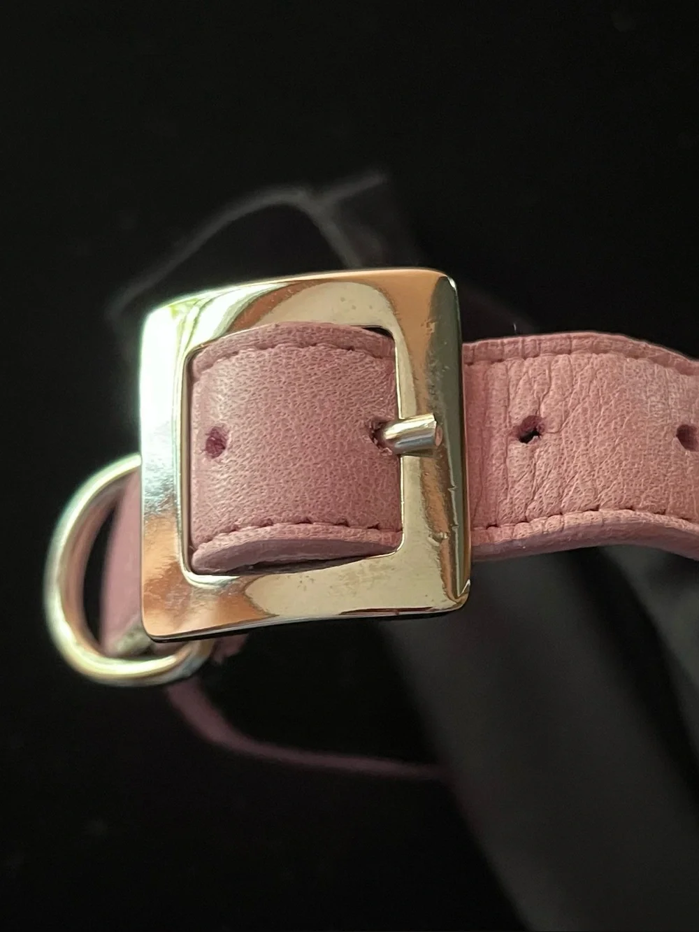Hamptons Hound Pink Skeleton Rhinestone Embellished Dog Collar